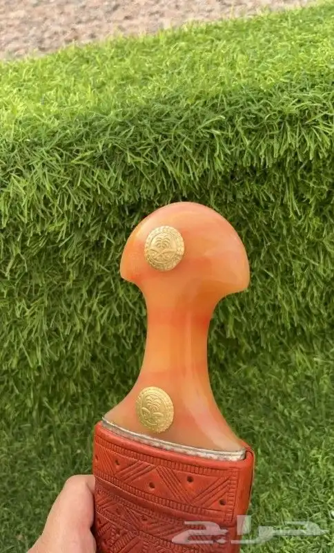 جنبيه 3