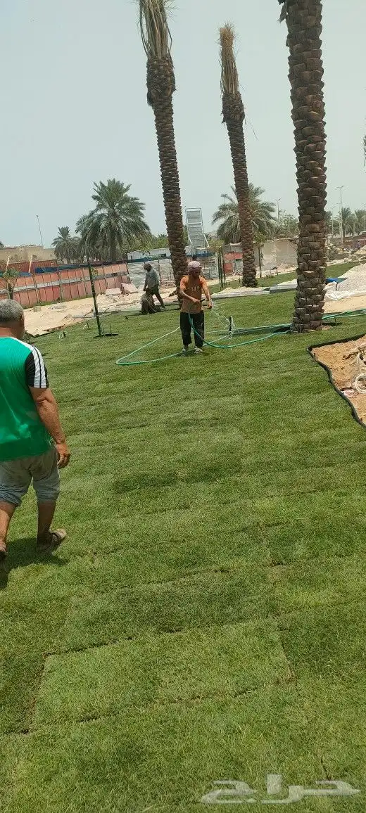 مشتل واشجار 2