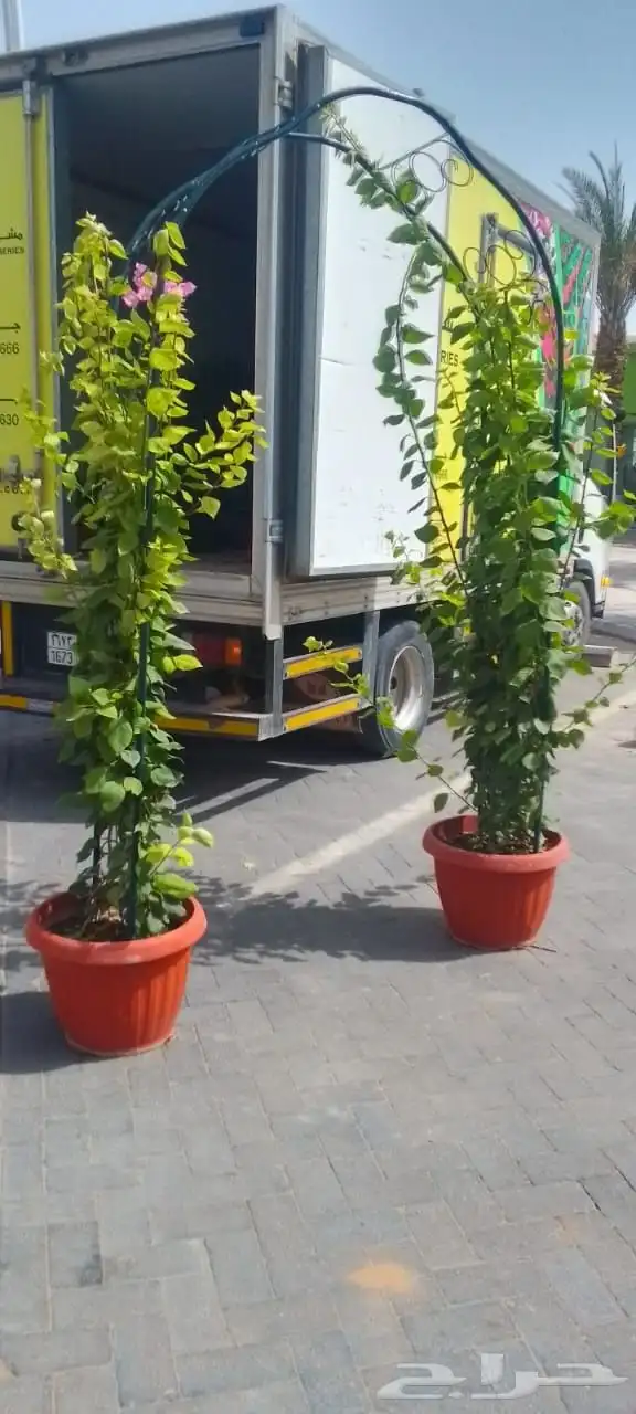 مشتل وتنسيق الحدائق 2