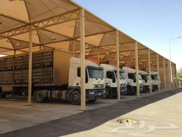 مظلات وسواتر جده 6