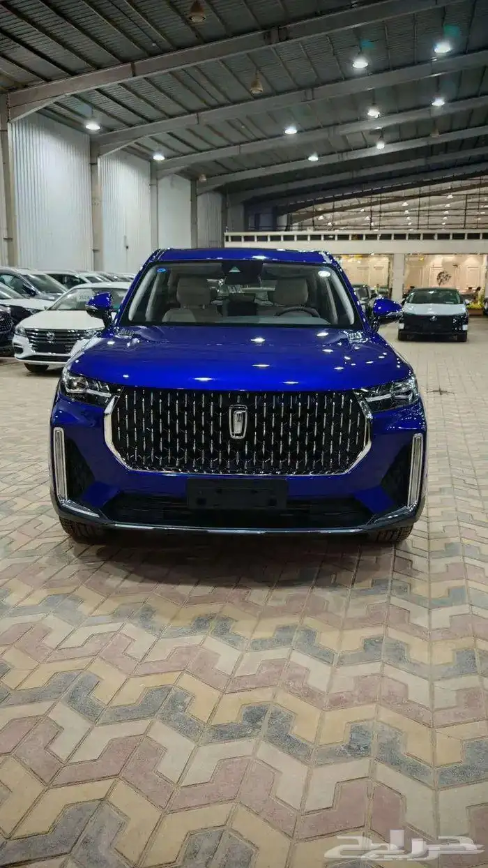 فاو بيستون T99 0