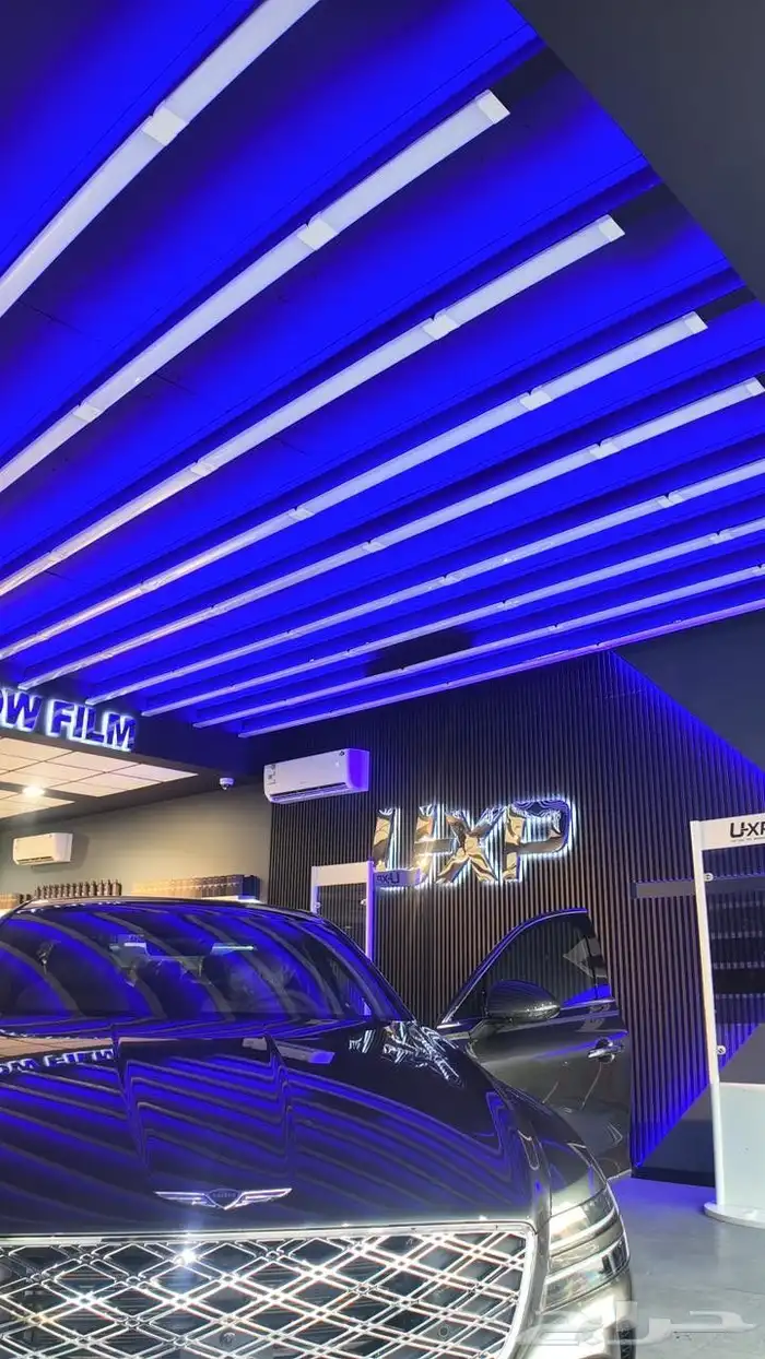 حماية السيارات 5