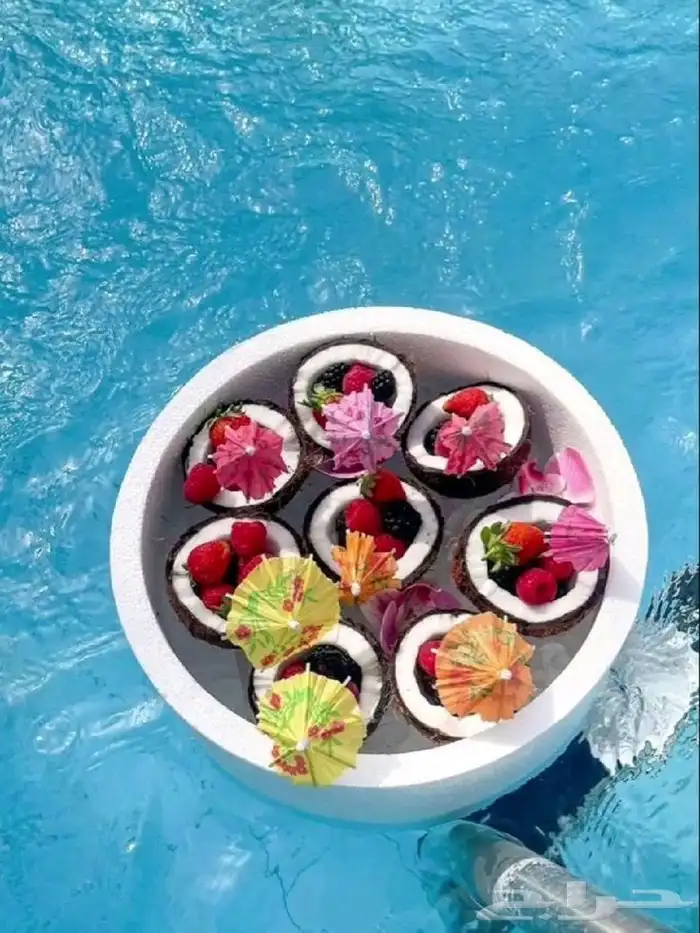 تاجير قوارب مرسي الاحلام رحلات بحريه جزيره بياضه 1