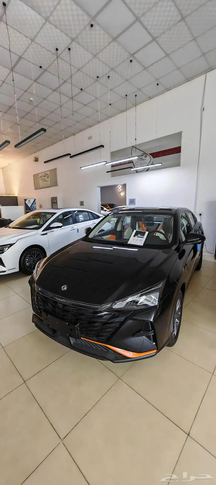 دونق فينق شاين E2 2025 نص فل كميه محدوده 0
