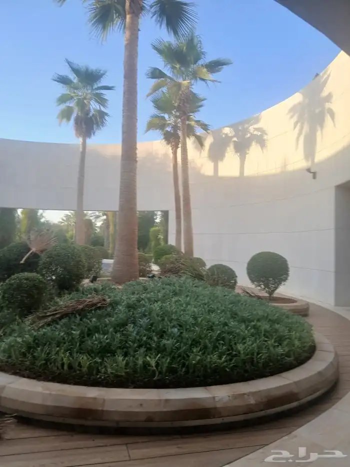 عمال نخل الواشنطني 2