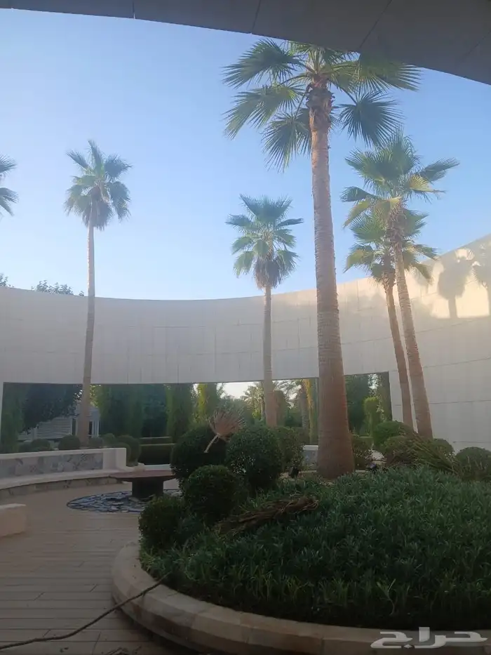 عمال نخل الواشنطني 0