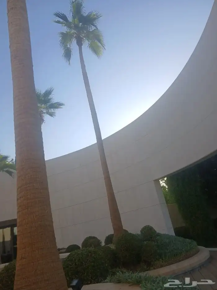 عمال نخل الواشنطني 1