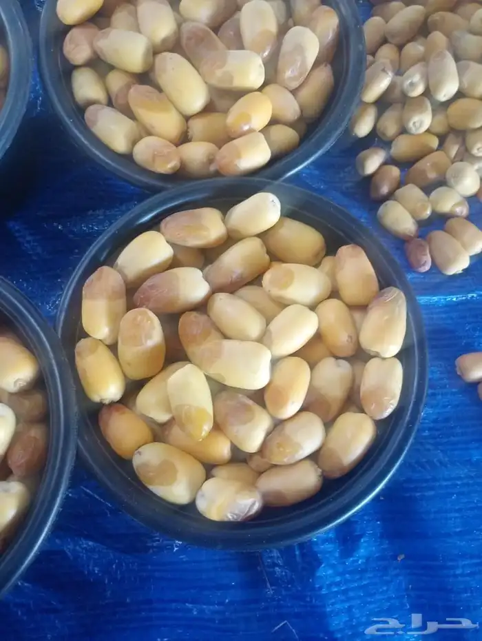 رطب خلاص للبيع 0