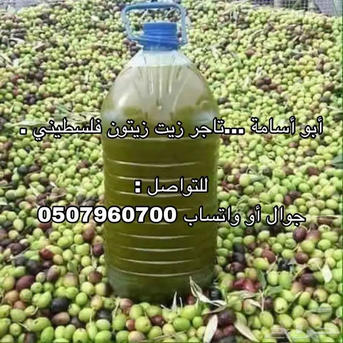 زيت زيتون فلسطيني بكر قطفة أولى لكل المناطق 4