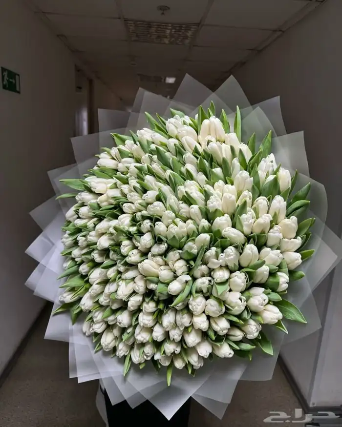 هدايا جده مكه 9