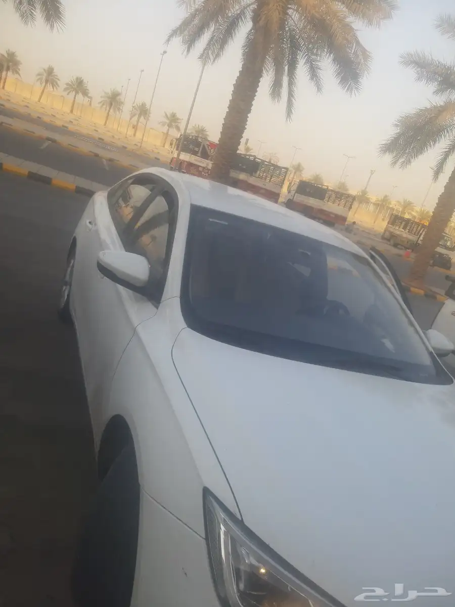 mg 5 2024 1