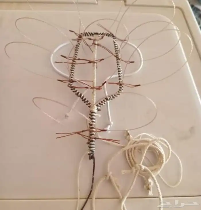 نقل طرح الصقور 35