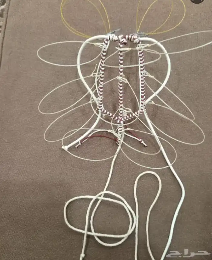 نقل طرح الصقور 31