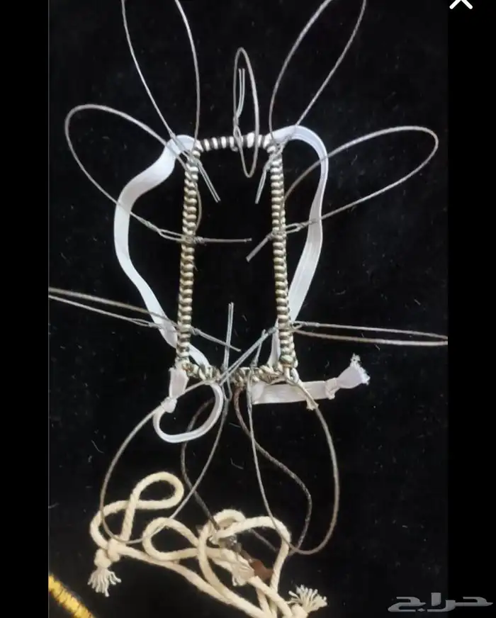 نقل طرح الصقور 21