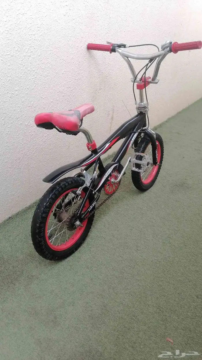 سيكل كوبرا رياضي نظيف 0