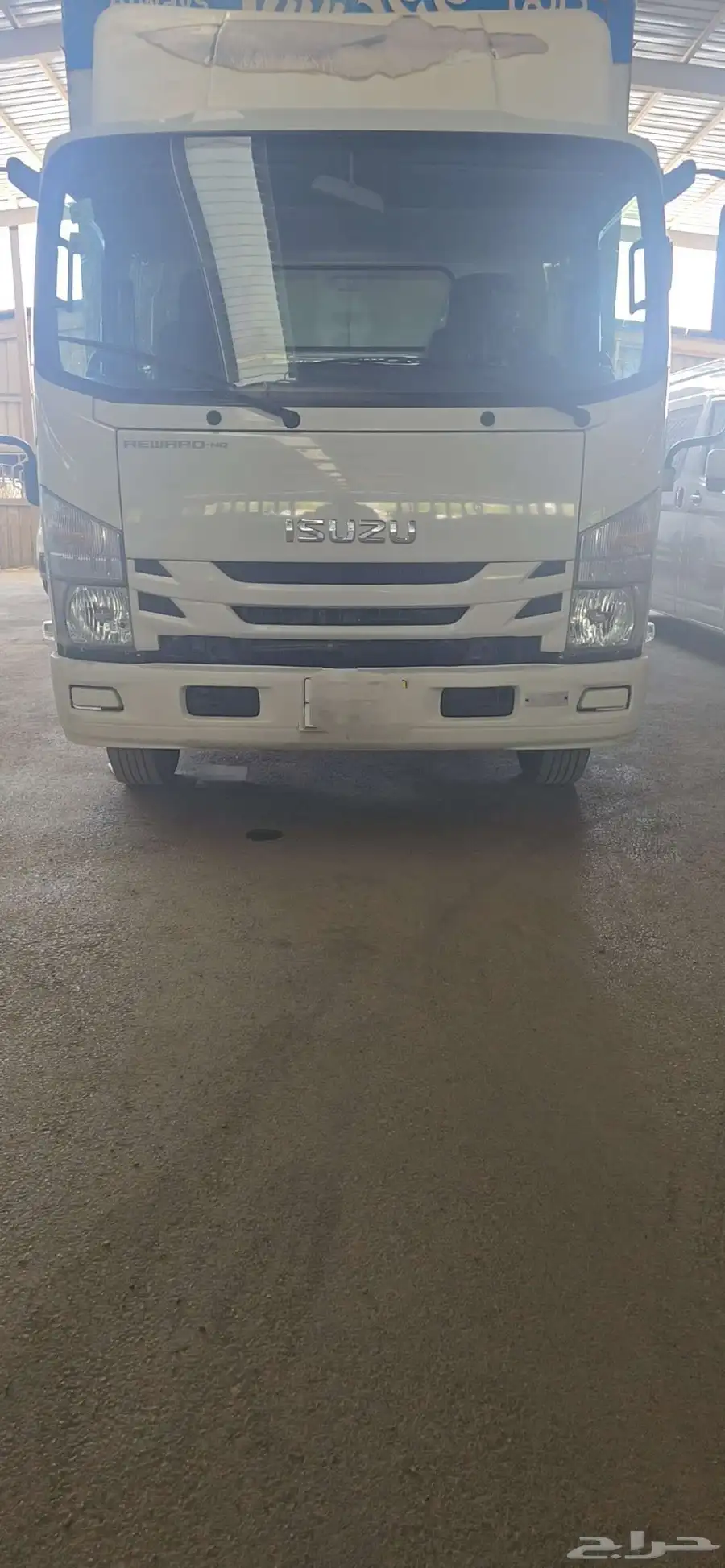 ايسوزو دينا2021 17