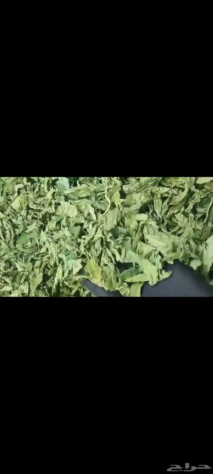 أجمل المنتجات البيتية في المدينة المنورة 7