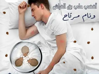 شركه مكافحه حشرات با الطايف رش حشرات با الطايف 0