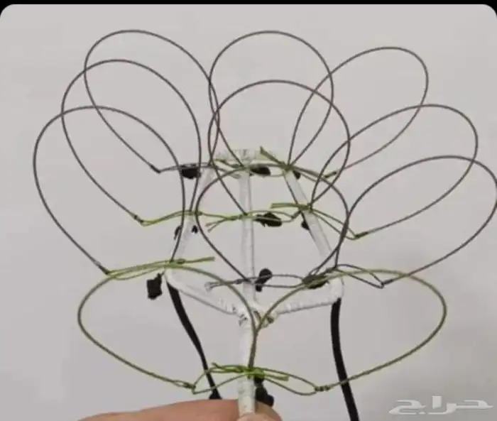 نقل طرح الصقور 19