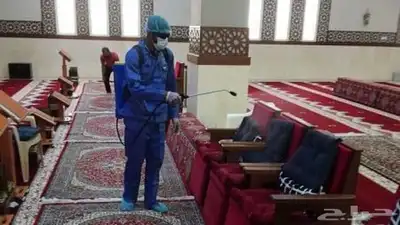 شركه مكافحه حشرات با الطايف رش حشرات با الطايف 8