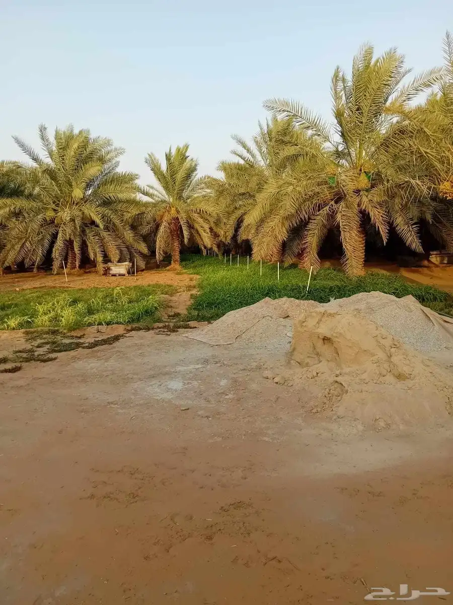 مزرعه للبيع في الخرج index