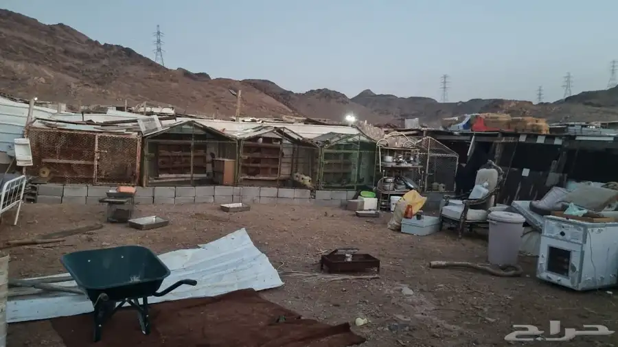 صنادق للحمام اوللدجاج عددالصنادق 7شكل واحد شكل يختلف البيع ج 0