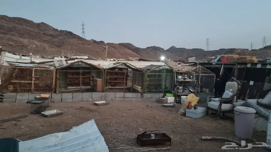 صنادق للحمام اوللدجاج عددالصنادق 7شكل واحد شكل يختلف البيع ج 1