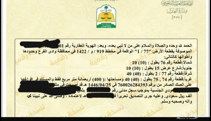 للبيع ارض في سكنية في مخطط ريع ملح بوادي الفرع 1