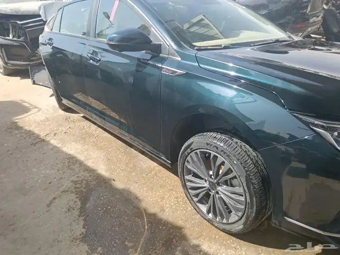قطع غيار دوج فينج 2024 4