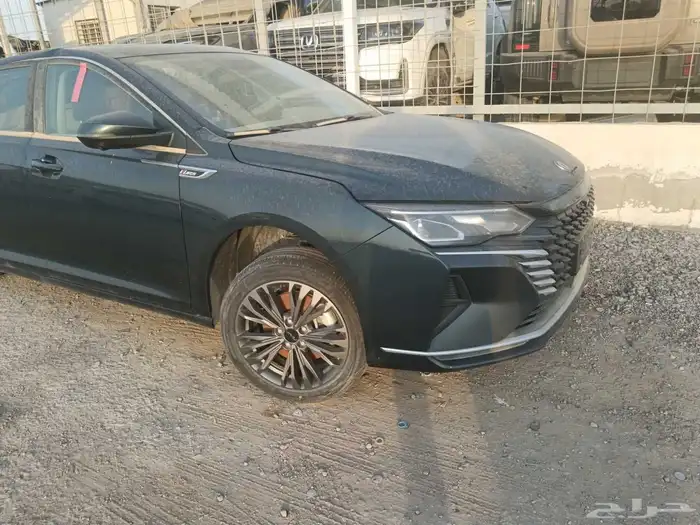 قطع غيار دوج فينج 2024 5
