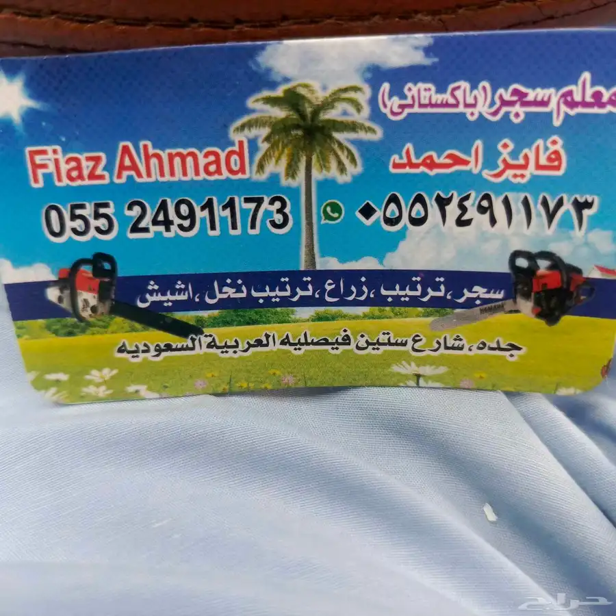 معلم قص شجر النخل ترتيب جده مكه 7