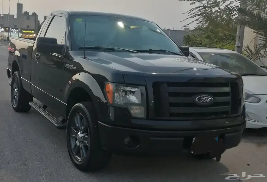 F150 2010 index