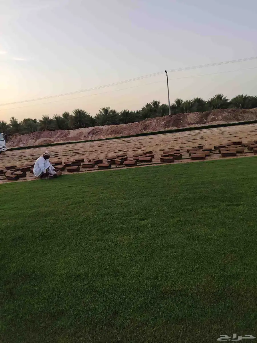 ثيل طبيعي بالخرج 2