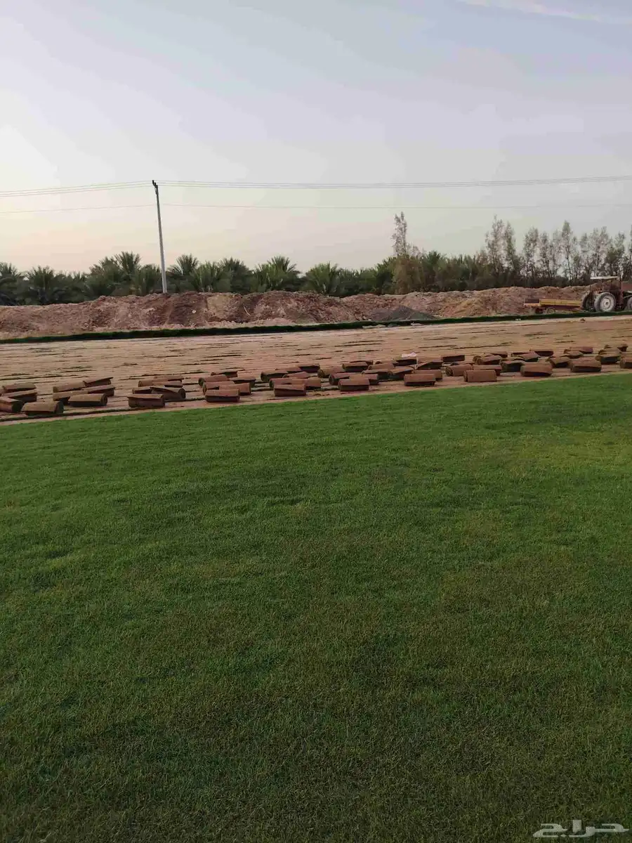 ثيل طبيعي بالخرج 1