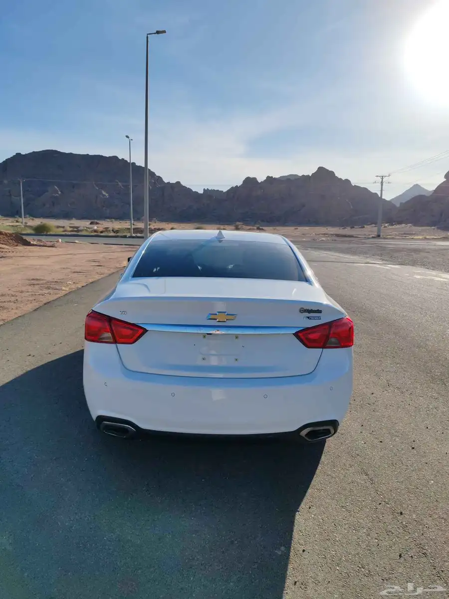 امبالا بريمير 2019 4
