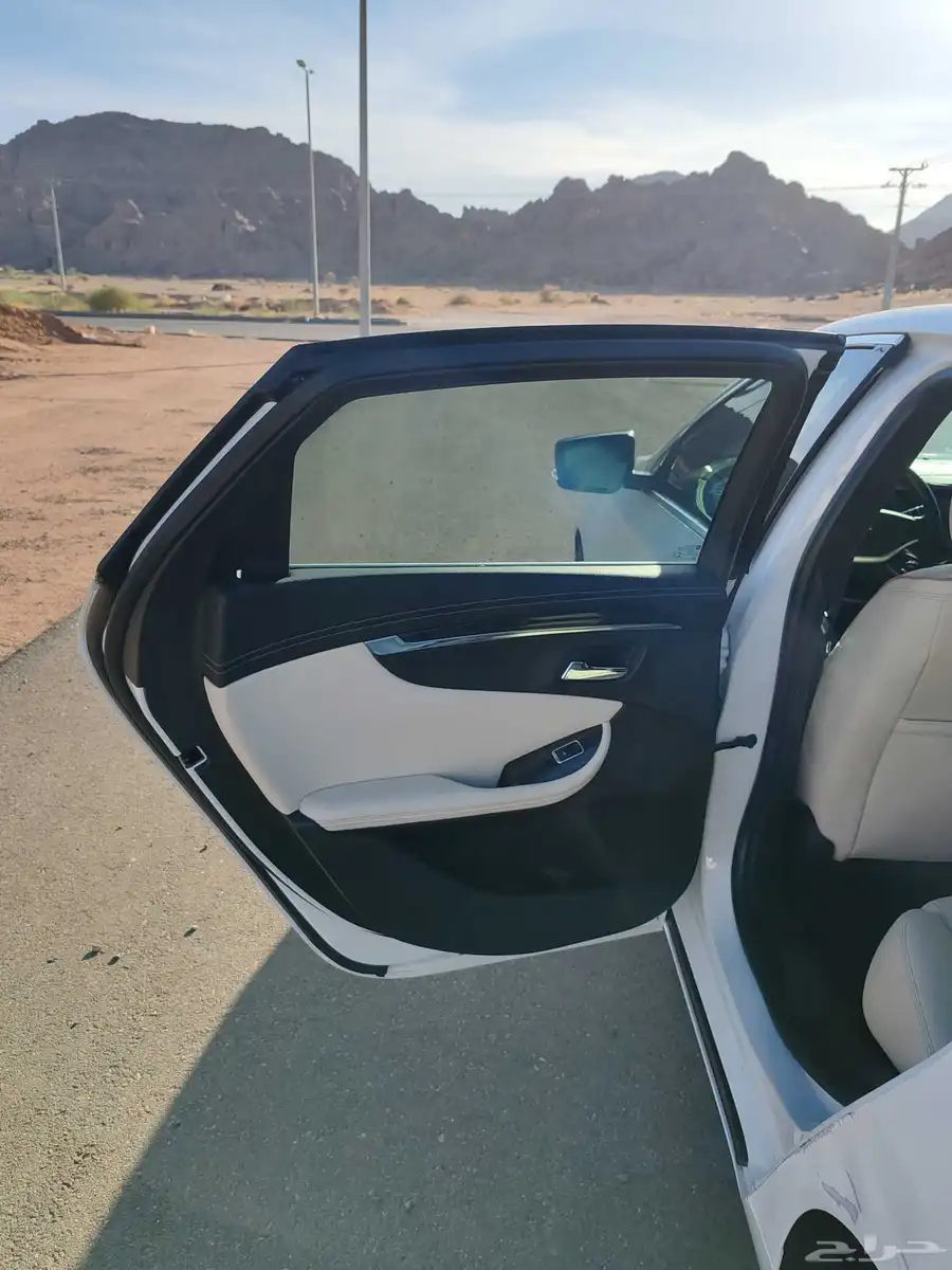 امبالا بريمير 2019 14