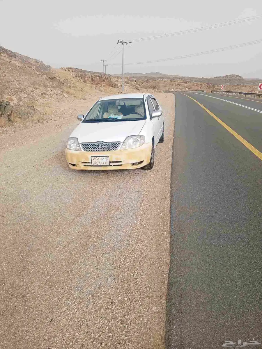 بدل ودفع فرق 3