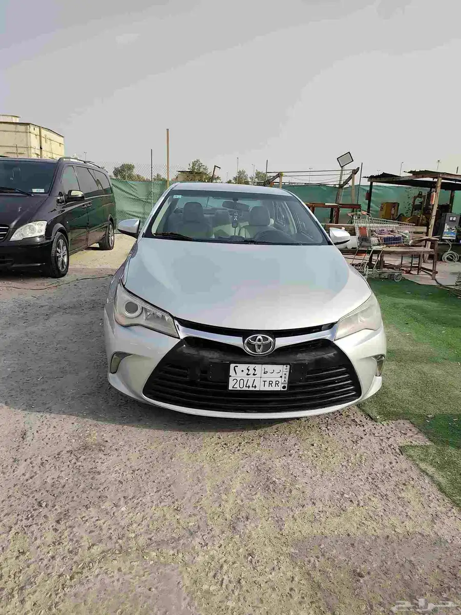 القطيف 5