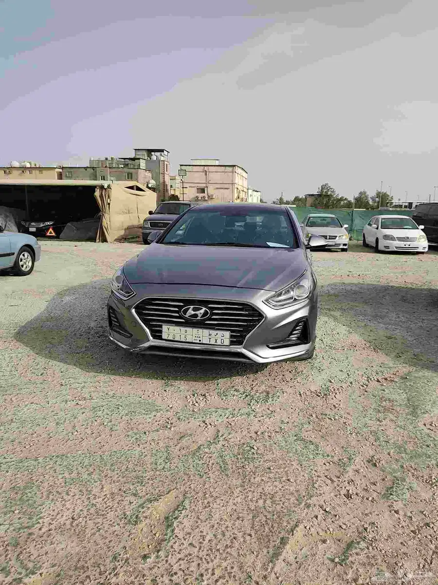 القطيف 5