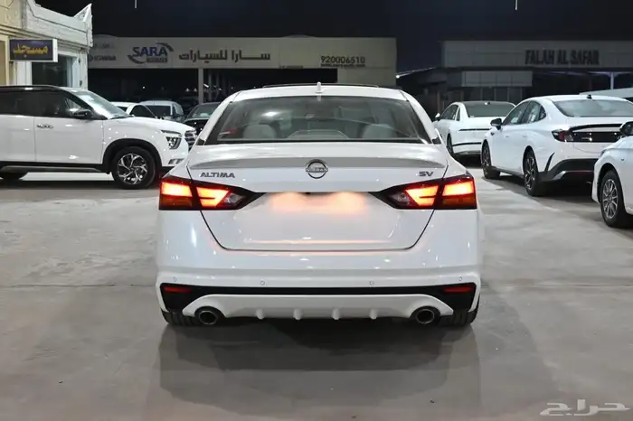 نسيان التيما SV 2023 3