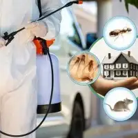 شركه مكافحه حشرات با الطايف رش حشرات با الطايف 5