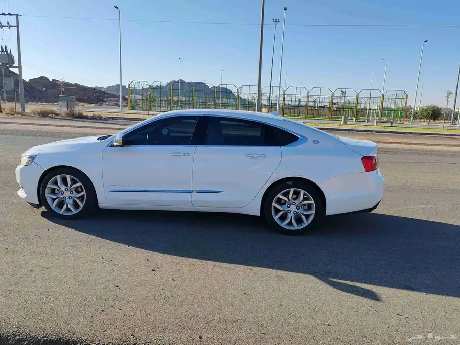 امبالا بريمير 2019 5