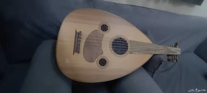 عود زرياب نظيف للبيع 5