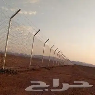 فسايل ونخيل بجميع انواعها 8