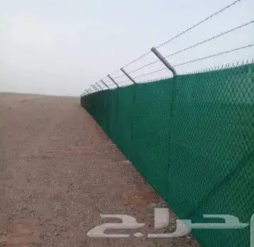 فسايل ونخيل بجميع انواعها 9