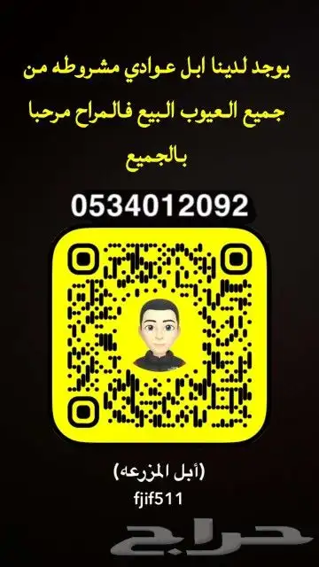 نياق حمر مشروطه 0