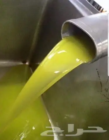 زيت زيتون فلسطيني عصرة بكر عضوي على الأمطار 4