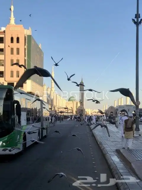 مرشد سياحي لزوار المدينة المنورة index
