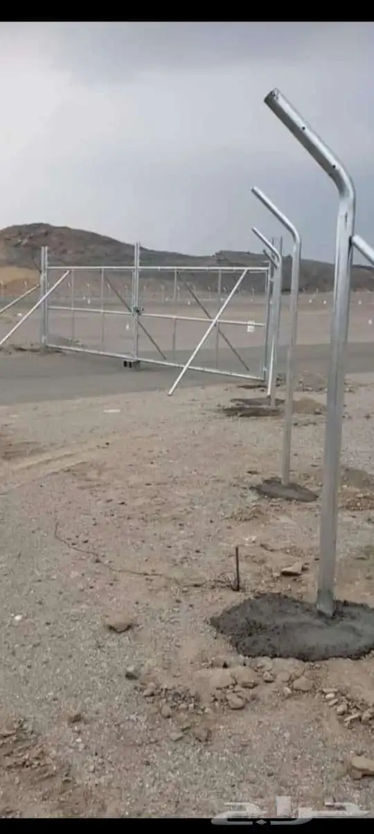 يوجد لدين جميع انواع انخيل المثمره وزينه وقلع وغرس وتركيب شب 6