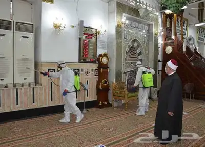شركه مكافحه حشرات با الطايف رش حشرات با الطايف 7